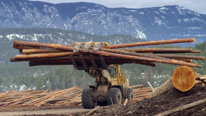 Tariffs Canadian Lumber